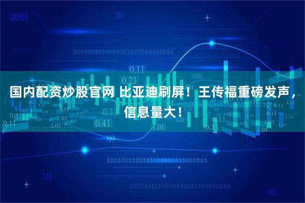 国内配资炒股官网 比亚迪刷屏！王传福重磅发声，信息量大！